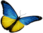 🦋