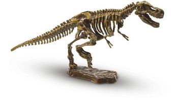 SES Explore Набір археолога Розкопки T-Rex (1 шт.)