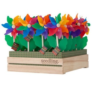 SEEDLING - Вітрячки в дерев'яному дисплеї (20 шт.)